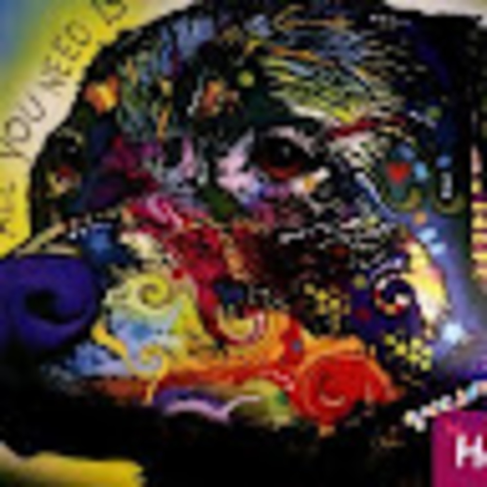 Meet your Posher, Steve